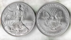 Buy Burnished Silver Eagles
