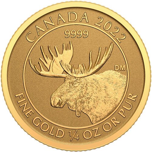 2022 1/4 oz Canadian Gold Moose Reverse Proof Coin